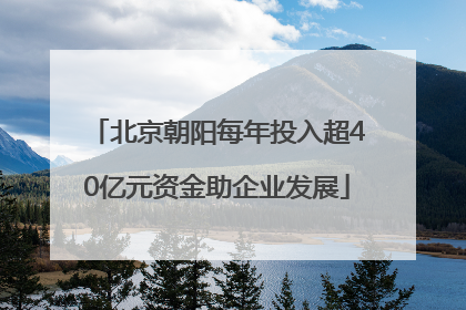 北京朝阳每年投入超40亿元资金助企业发展