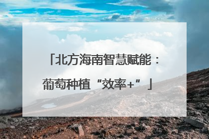 北方海南智慧赋能：葡萄种植“效率+”