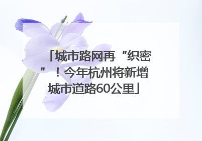 城市路网再“织密”！今年杭州将新增城市道路60公里