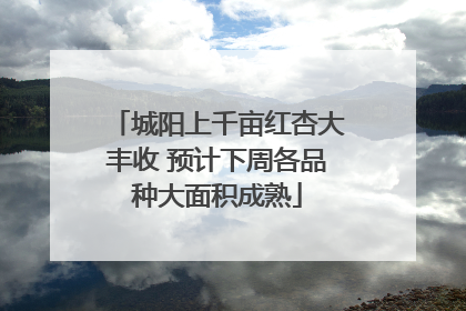 城阳上千亩红杏大丰收 预计下周各品种大面积成熟
