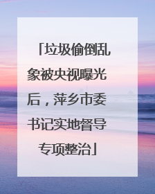 垃圾偷倒乱象被央视曝光后，萍乡市委书记实地督导专项整治