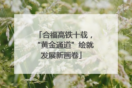 合福高铁十载，“黄金通道”绘就发展新画卷