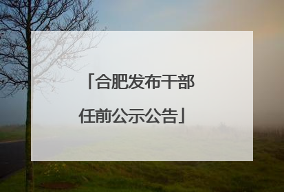 合肥发布干部任前公示公告