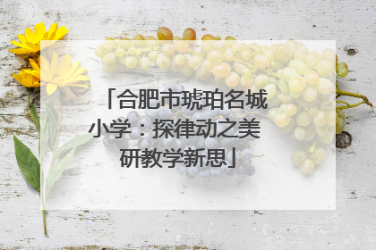 合肥市琥珀名城小学：探律动之美 研教学新思