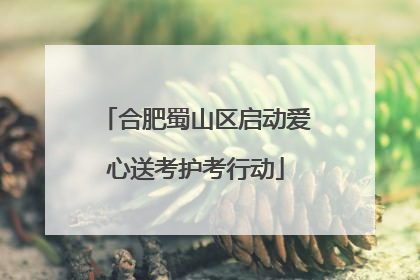合肥蜀山区启动爱心送考护考行动