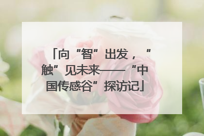向“智”出发，“触”见未来——“中国传感谷”探访记