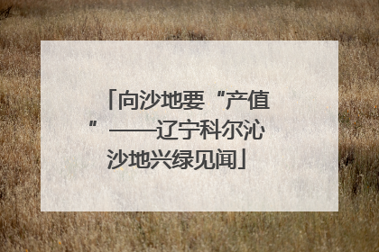 向沙地要“产值”——辽宁科尔沁沙地兴绿见闻