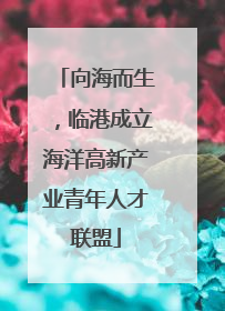 向海而生，临港成立海洋高新产业青年人才联盟