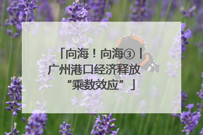 向海！向海③丨广州港口经济释放“乘数效应”