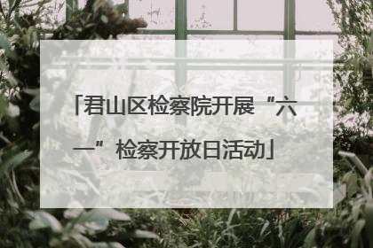 君山区检察院开展“六一”检察开放日活动