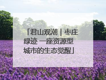 君山观潮｜枣庄绿迹 一座资源型城市的生态觉醒