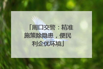 周口交警：精准施策除隐患，便民利企优环境