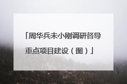 周华兵未小刚调研督导重点项目建设（图）