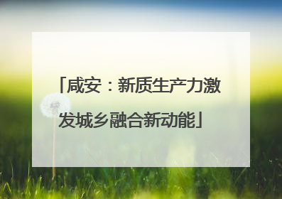 咸安：新质生产力激发城乡融合新动能