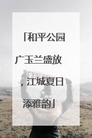和平公园广玉兰盛放，江城夏日添雅韵