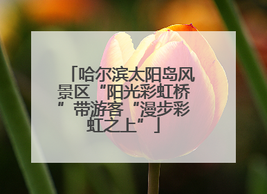 哈尔滨太阳岛风景区“阳光彩虹桥”带游客“漫步彩虹之上”