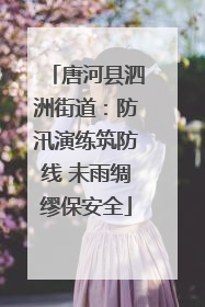 唐河县泗洲街道：防汛演练筑防线 未雨绸缪保安全