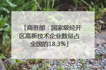 商务部：国家级经开区高新技术企业数量占全国的18.3%