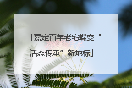 嘉定百年老宅蝶变“活态传承”新地标
