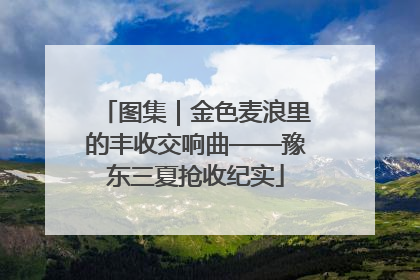 图集｜金色麦浪里的丰收交响曲——豫东三夏抢收纪实