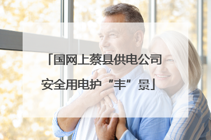 国网上蔡县供电公司安全用电护“丰”景