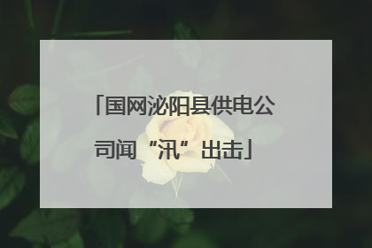 国网泌阳县供电公司闻“汛”出击