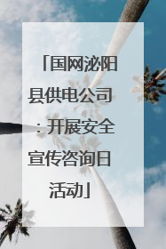 国网泌阳县供电公司：开展安全宣传咨询日活动