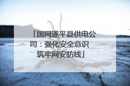 国网遂平县供电公司：强化安全意识 筑牢网安防线