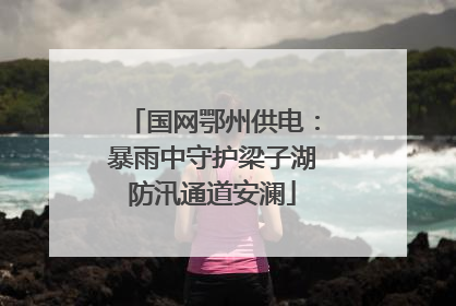 国网鄂州供电：暴雨中守护梁子湖防汛通道安澜