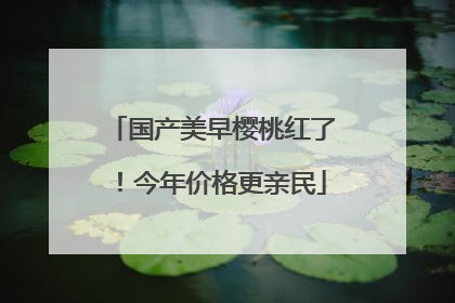 国产美早樱桃红了！今年价格更亲民