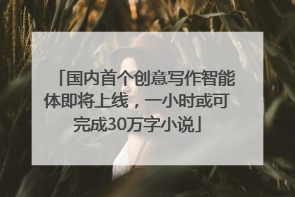 国内首个创意写作智能体即将上线，一小时或可完成30万字小说
