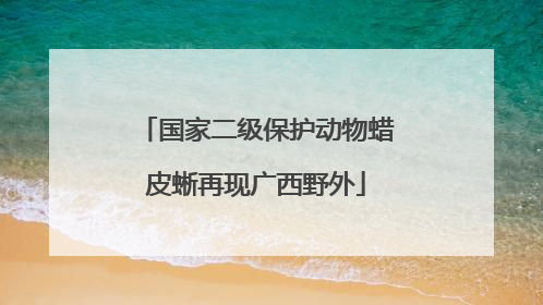 国家二级保护动物蜡皮蜥再现广西野外