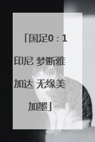 国足0∶1印尼 梦断雅加达 无缘美加墨