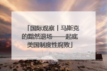 国际观察丨马斯克的黯然退场——起底美国制度性腐败