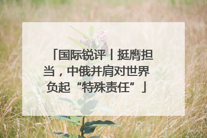 国际锐评丨挺膺担当，中俄并肩对世界负起“特殊责任”
