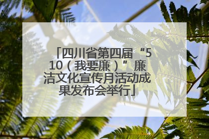四川省第四届“510（我要廉）”廉洁文化宣传月活动成果发布会举行