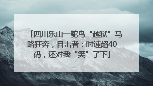 四川乐山一鸵鸟“越狱”马路狂奔，目击者：时速超40码，还对我“笑”了下