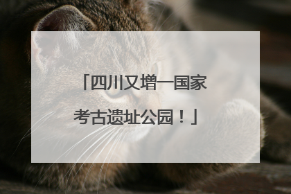 四川又增一国家考古遗址公园！