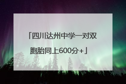 四川达州中学一对双胞胎同上600分+