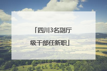 四川3名副厅级干部任新职