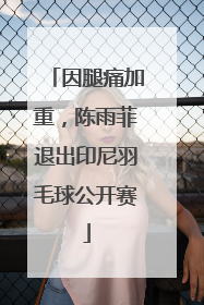 因腿痛加重，陈雨菲退出印尼羽毛球公开赛