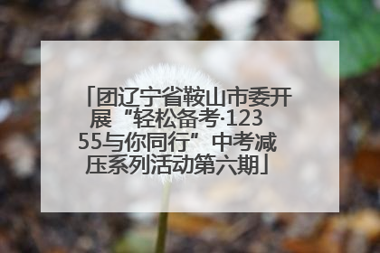 团辽宁省鞍山市委开展“轻松备考·12355与你同行”中考减压系列活动第六期