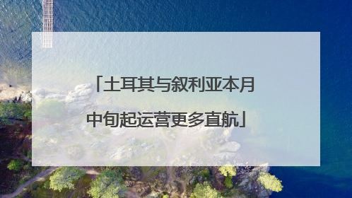 土耳其与叙利亚本月中旬起运营更多直航