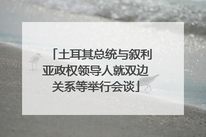 土耳其总统与叙利亚政权领导人就双边关系等举行会谈
