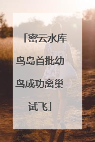 密云水库鸟岛首批幼鸟成功离巢试飞