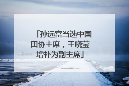 孙远富当选中国田协主席，王晓莹增补为副主席