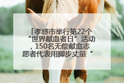 孝感市举行第22个“世界献血者日”活动，150名无偿献血志愿者代表用脚步丈量“中华孝爱第一山”