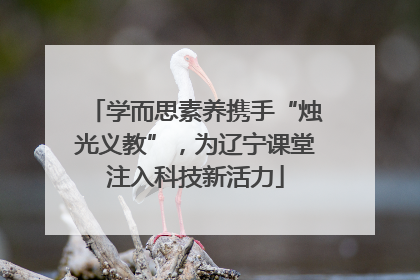 学而思素养携手“烛光义教”，为辽宁课堂注入科技新活力