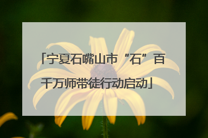 宁夏石嘴山市“石”百千万师带徒行动启动