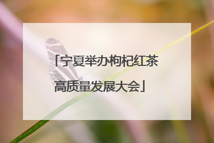 宁夏举办枸杞红茶高质量发展大会